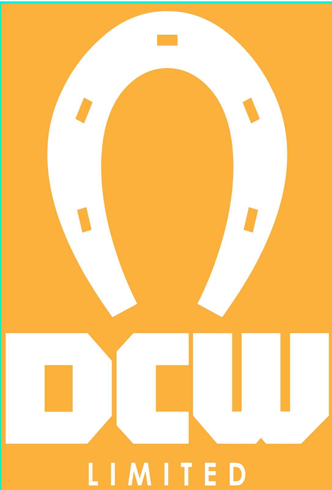 DCW Ltd logo